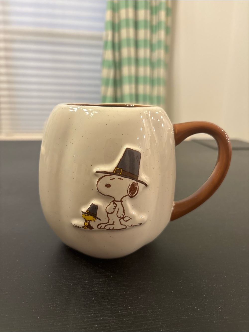 Rae Dunn Peanuts Snoopy Thanksgiving Pumpkin Mug Pilgrim Woodstock